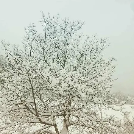 Bondine In Valle Daosta 2 Charvensod